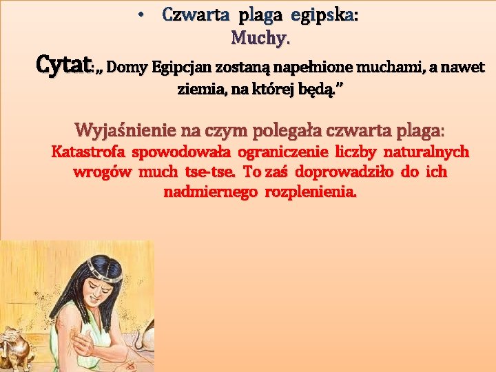  • C z w a r t a p l a ga e
