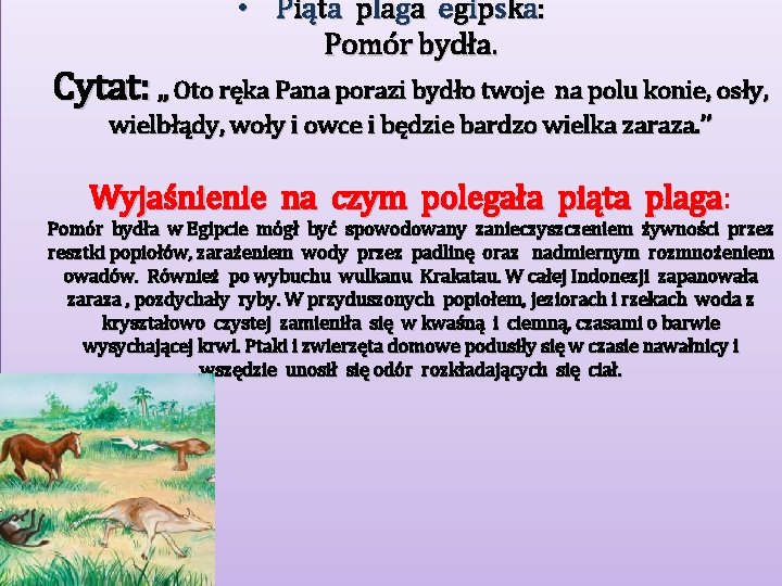  • P i ą t a p l a ga e gi ps