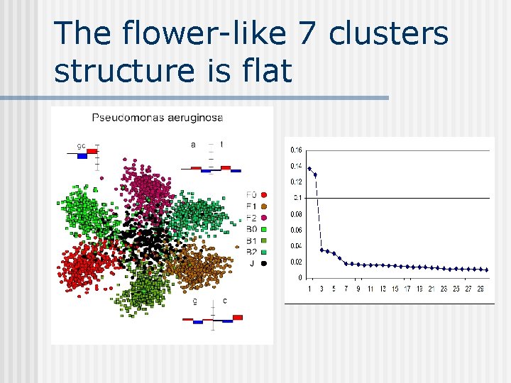 The flower-like 7 clusters structure is flat 