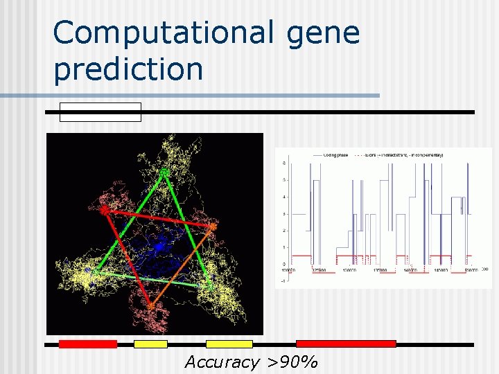 Computational gene prediction Accuracy >90% 