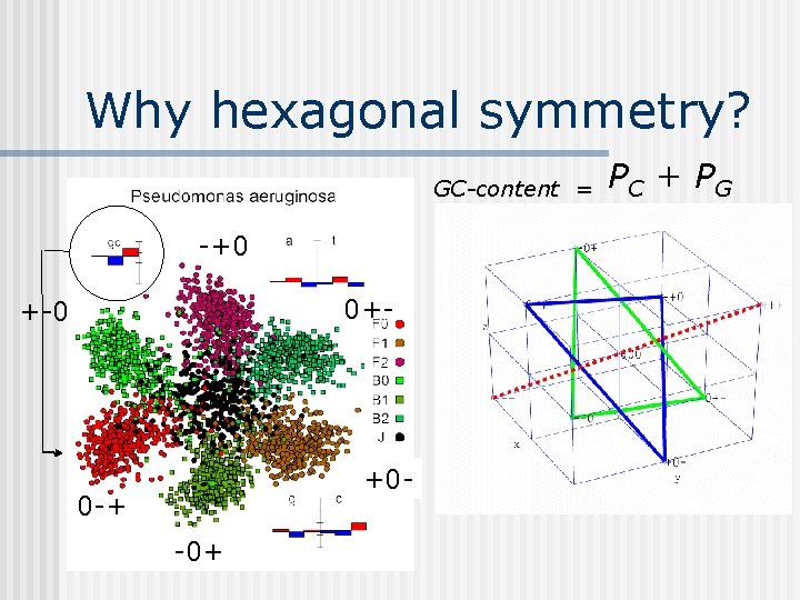 Why hexagonal symmetry? GC-content = -+0 0+- +-0 +0 - 0 -+ -0+ PC