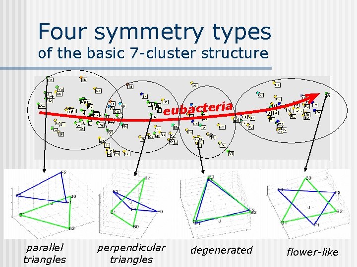 Four symmetry types of the basic 7 -cluster structure eubacteria parallel triangles perpendicular triangles