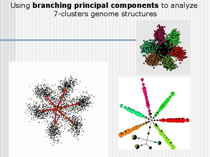 Using branching principal components to analyze 7 -clusters genome structures 