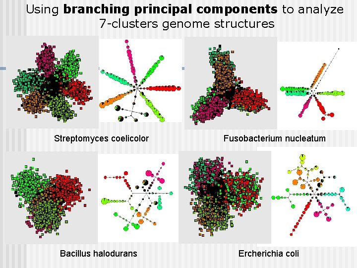 Using branching principal components to analyze 7 -clusters genome structures Streptomyces coelicolor Bacillus halodurans