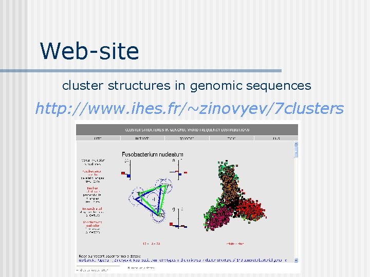 Web-site cluster structures in genomic sequences http: //www. ihes. fr/~zinovyev/7 clusters 