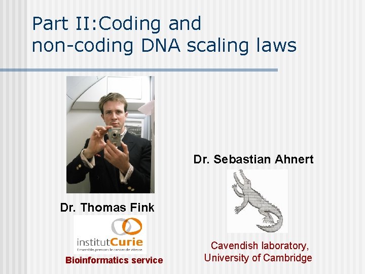 Part II: Coding and non-coding DNA scaling laws Dr. Sebastian Ahnert Dr. Thomas Fink