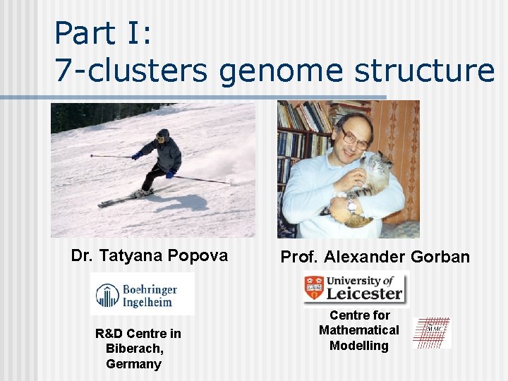 Part I: 7 -clusters genome structure Dr. Tatyana Popova R&D Centre in Biberach, Germany