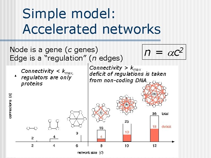 Simple model: Accelerated networks Node is a gene (c genes) Edge is a “regulation”