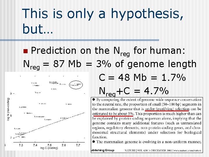 This is only a hypothesis, but… Prediction on the Nreg for human: Nreg =