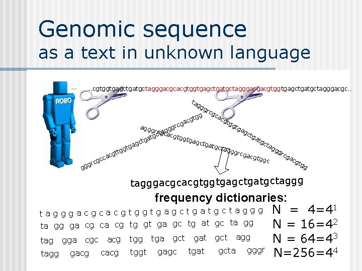 Genomic sequence as a text in unknown language. . cgtggtgagctgatgctagggacgcacgtggtgagctgatgctagggacgc… tag gg rcg ca