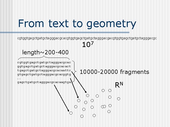 From text to geometry cgtggtgagctgatgctagggacgcacgtggtgagctgatgctagggacgc 107 length~200 -400 cgtggtgagctgatgctagggacgcacact tgagctgatgctagggacgcacaattc gtgagctgatgctagggacgcacggtg …… gagctgatgctagggacgcacaagtga 10000