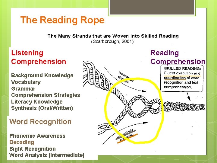 The Reading Rope Listening Comprehension Background Knowledge Vocabulary Grammar Comprehension Strategies Literacy Knowledge Synthesis