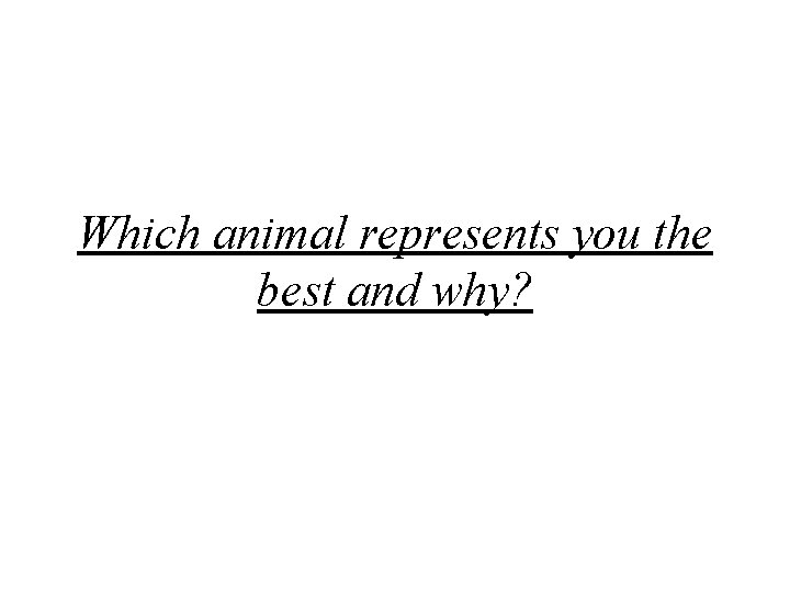 Which animal represents you the best and why? 