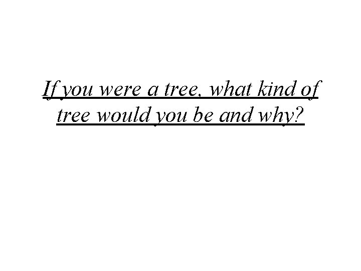 If you were a tree, what kind of tree would you be and why?