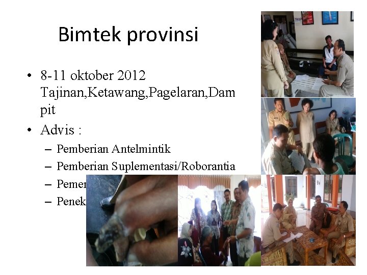 Bimtek provinsi • 8 -11 oktober 2012 Tajinan, Ketawang, Pagelaran, Dam pit • Advis