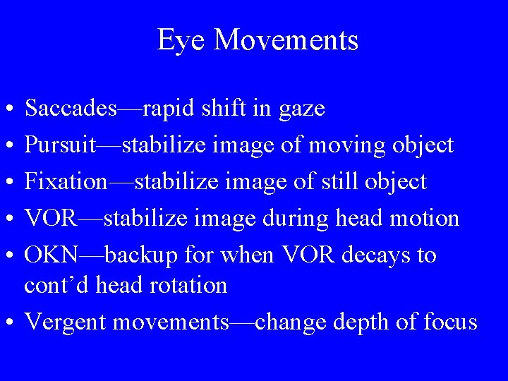 Eye Movements • • • Saccades—rapid shift in gaze Pursuit—stabilize image of moving object