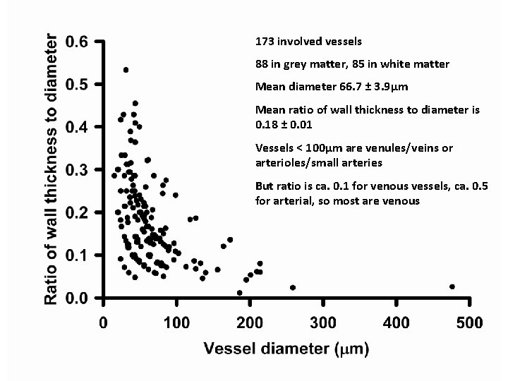 173 involved vessels 88 in grey matter, 85 in white matter Mean diameter 66.