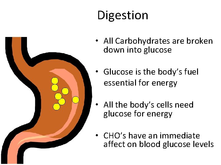 Digestion • All Carbohydrates are broken down into glucose • Glucose is the body’s