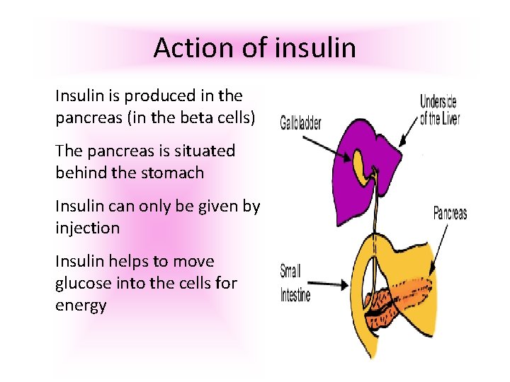 Action of insulin Insulin is produced in the pancreas (in the beta cells) The