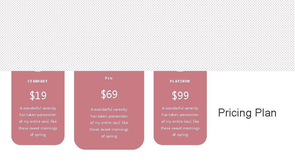 36. 1 STANDART 2 Pro 3 PLATINUM $19 $69 $99 A wonderful serenity has