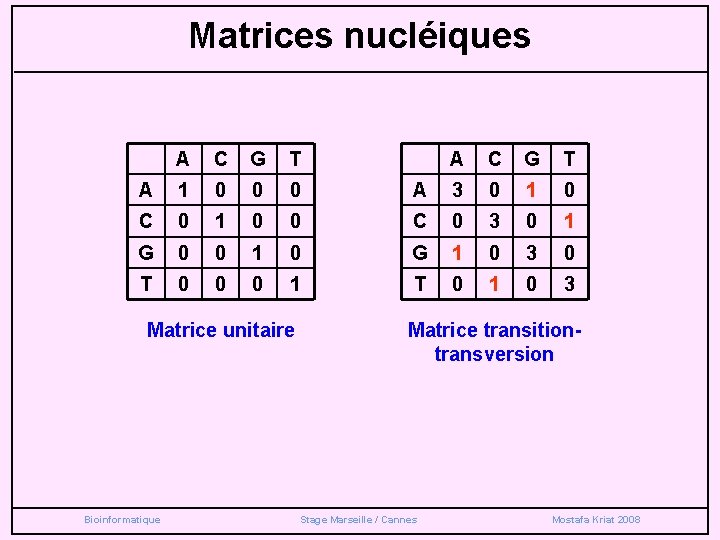 Matrices nucléiques A C G T A 1 0 0 0 A 3 0