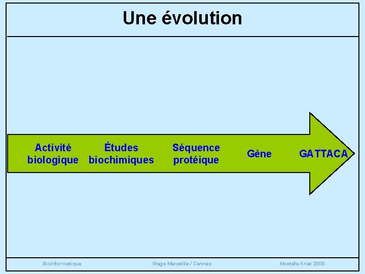 Une évolution Activité Études biologique biochimiques Bioinformatique Séquence protéique Stage Marseille / Cannes Gène