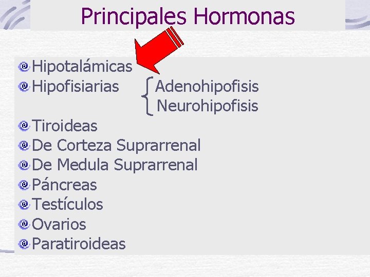 Principales Hormonas Hipotalámicas Hipofisiarias Adenohipofisis Neurohipofisis Tiroideas De Corteza Suprarrenal De Medula Suprarrenal Páncreas