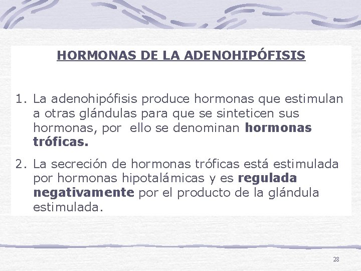 HORMONAS DE LA ADENOHIPÓFISIS 1. La adenohipófisis produce hormonas que estimulan a otras glándulas