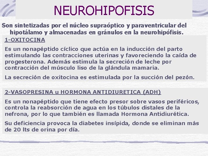 NEUROHIPOFISIS Son sintetizadas por el núcleo supraóptico y paraventricular del hipotálamo y almacenadas en