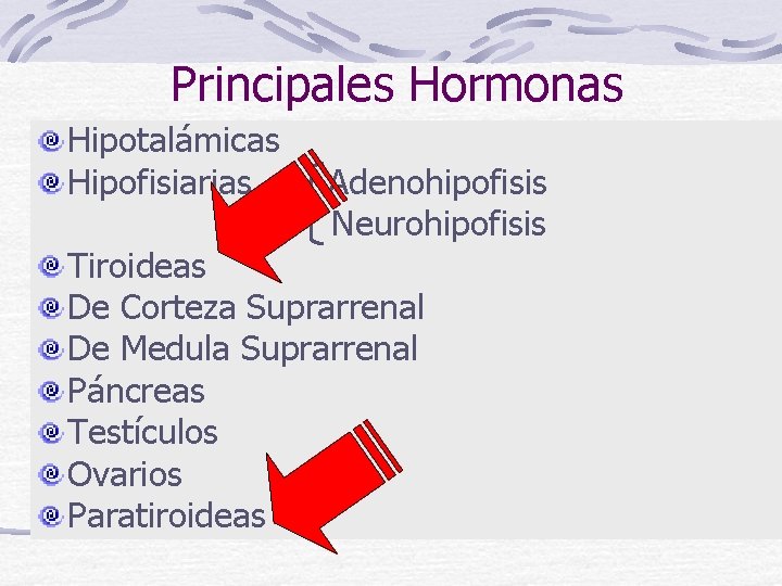 Principales Hormonas Hipotalámicas Hipofisiarias Adenohipofisis Neurohipofisis Tiroideas De Corteza Suprarrenal De Medula Suprarrenal Páncreas