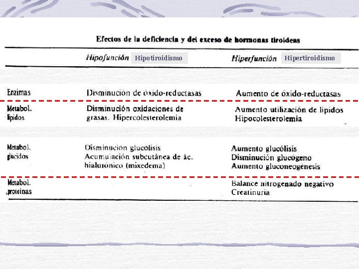 Hipotiroidismo Hipertiroidismo 