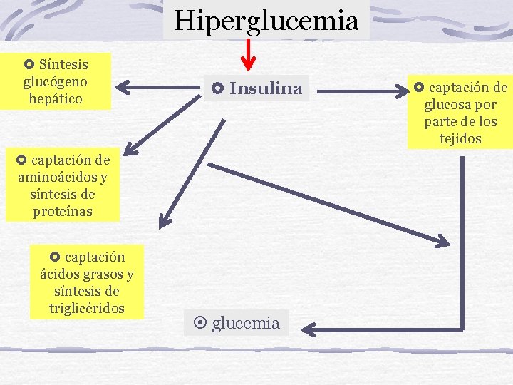 Hiperglucemia Síntesis glucógeno hepático Insulina captación de aminoácidos y síntesis de proteínas captación ácidos