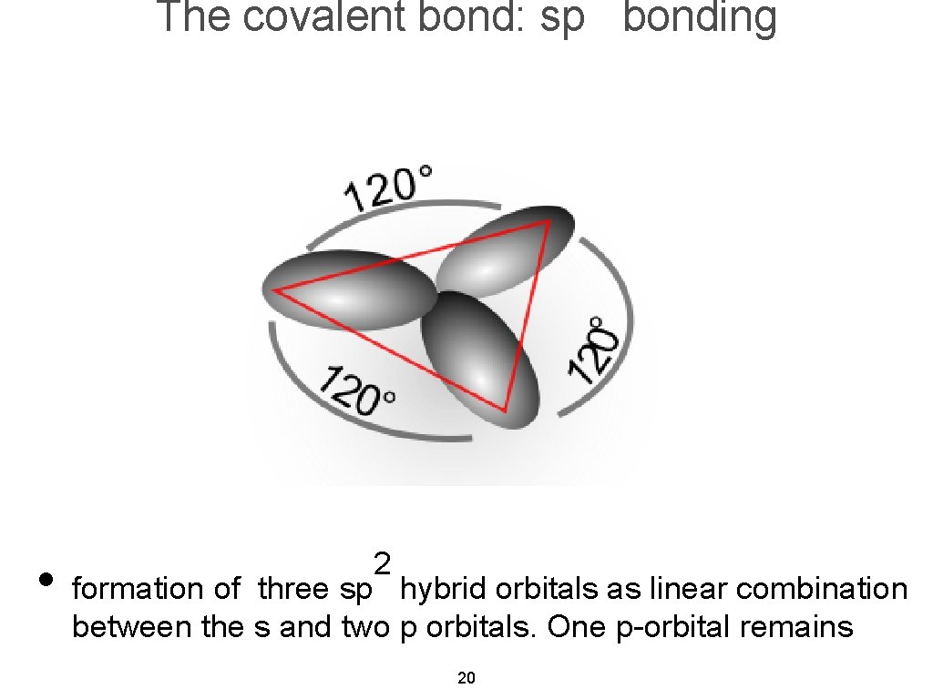The covalent bond: sp bonding • formation of 2 three sp hybrid orbitals as