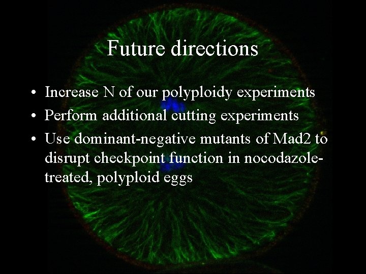 Future directions • Increase N of our polyploidy experiments • Perform additional cutting experiments