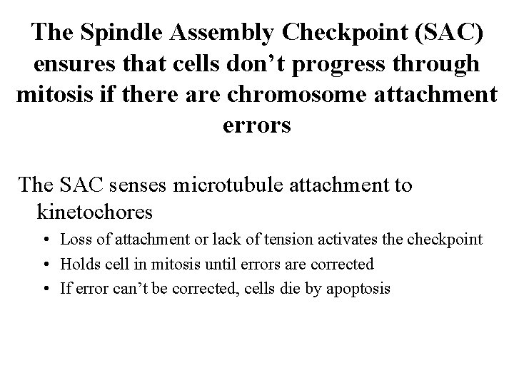 The Spindle Assembly Checkpoint (SAC) ensures that cells don’t progress through mitosis if there