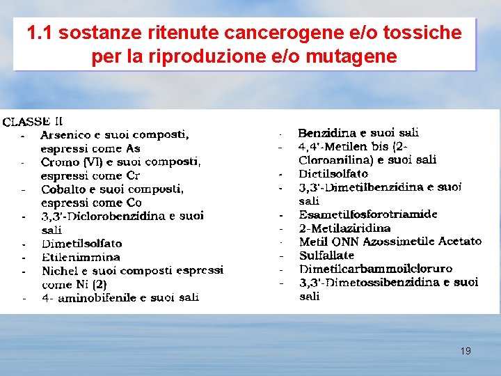 1. 1 sostanze ritenute cancerogene e/o tossiche per la riproduzione e/o mutagene 19 