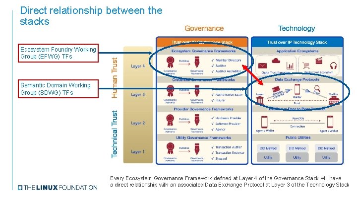 Direct relationship between the stacks Ecosystem Foundry Working Group (EFWG) TFs Semantic Domain Working