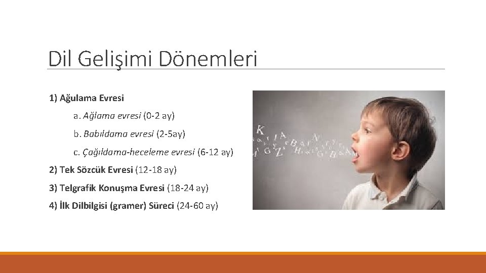 Dil Gelişimi Dönemleri 1) Ağulama Evresi a. Ağlama evresi (0 -2 ay) b. Babıldama