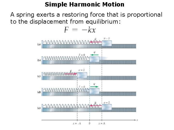 Simple Harmonic Motion A spring exerts a restoring force that is proportional to the