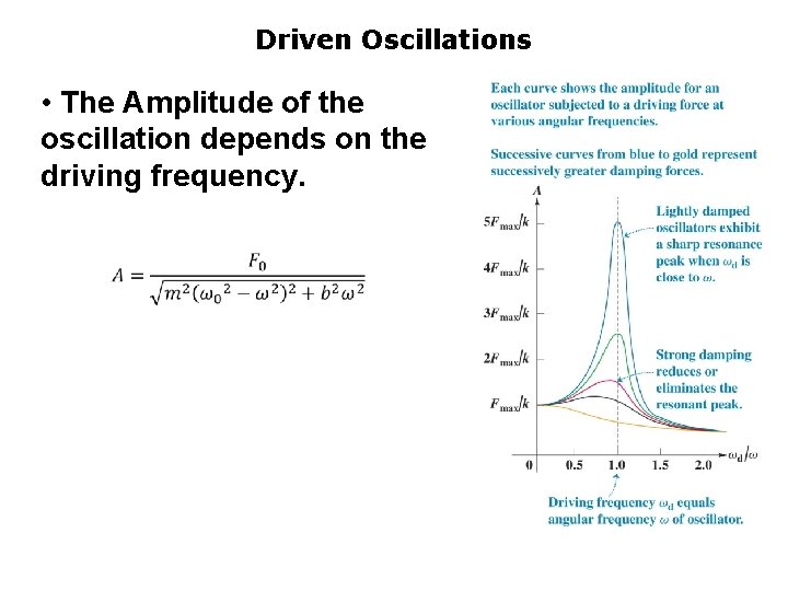 Driven Oscillations • The Amplitude of the oscillation depends on the driving frequency. 