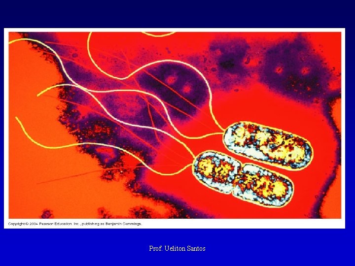 Prof. Ueliton Santos 