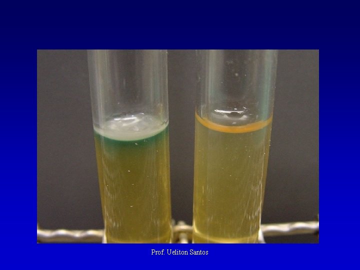 Prof. Ueliton Santos 