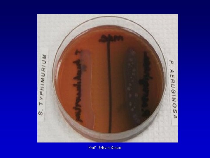 Prof. Ueliton Santos 