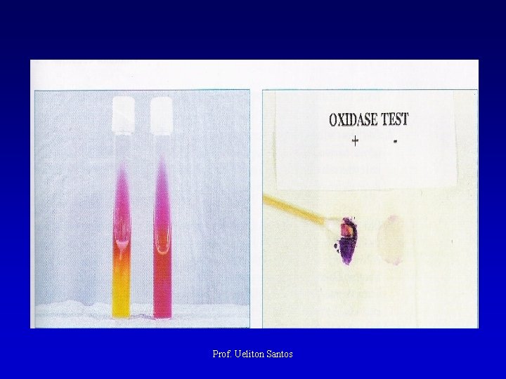 Prof. Ueliton Santos 