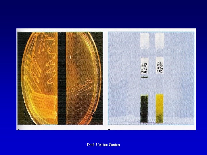Prof. Ueliton Santos 