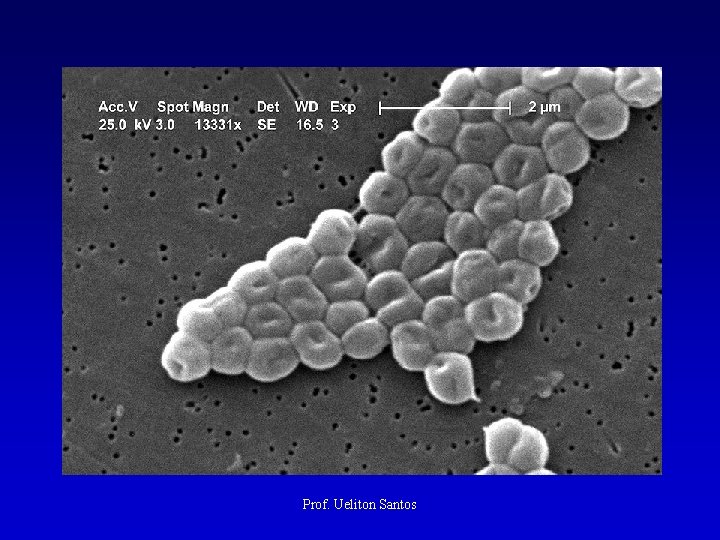 Prof. Ueliton Santos 