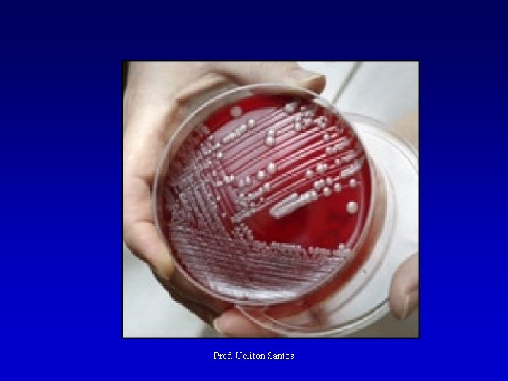 Prof. Ueliton Santos 