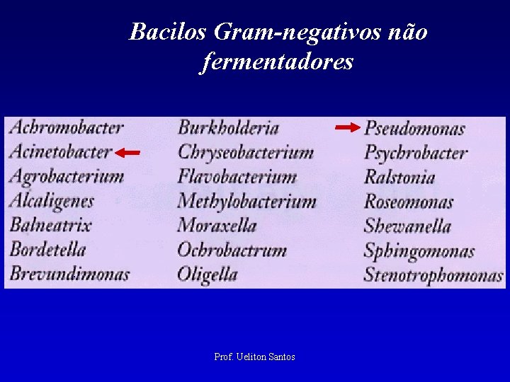Bacilos Gram-negativos não fermentadores Prof. Ueliton Santos 