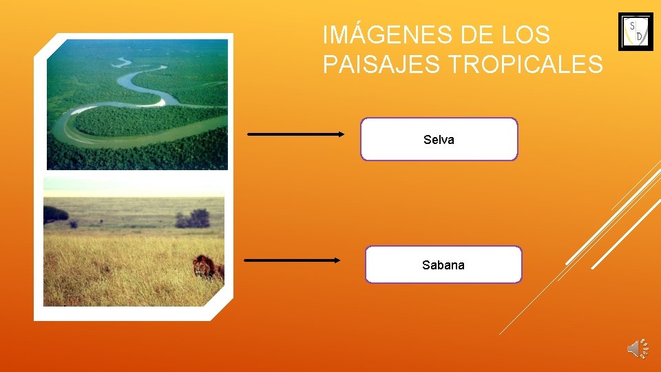 IMÁGENES DE LOS PAISAJES TROPICALES Selva Sabana 