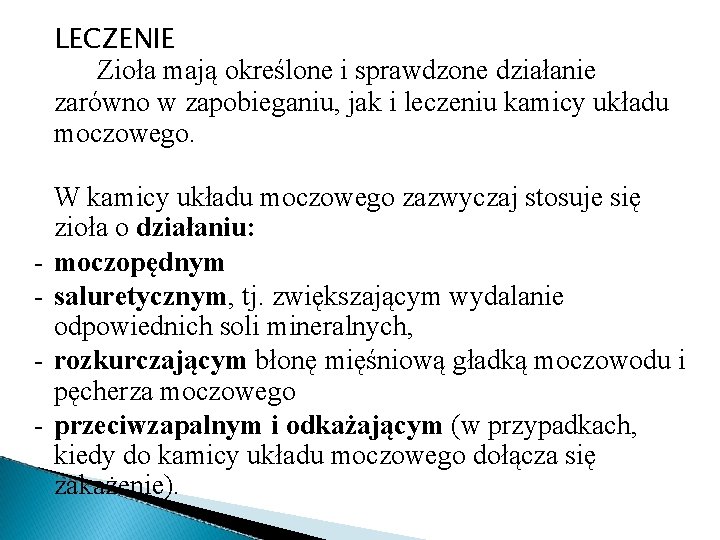 LECZENIE Zioła mają określone i sprawdzone działanie zarówno w zapobieganiu, jak i leczeniu kamicy